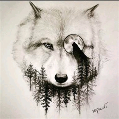Fanfic / Fanfiction Hidden Wolf