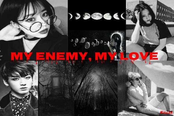 Fanfic / Fanfiction My enemy , My love