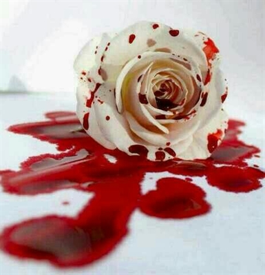 Fanfic / Fanfiction Rosa, sangue e brilho.
