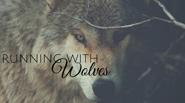 Fanfic / Fanfiction Running With Wolves