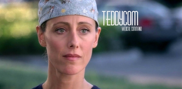 Fanfic / Fanfiction SPIN-OFF DE GREY'S ANATOMY - TEDDYCOM MEDICAL COMMAND