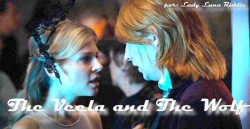 Fanfic / Fanfiction The Veela and The Wolf