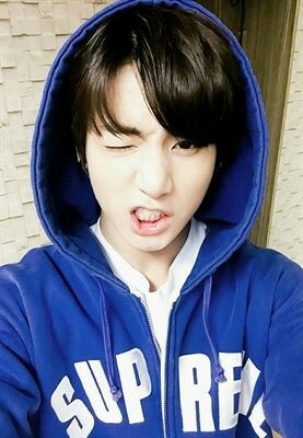 Fanfic / Fanfiction Um amor de fã - imagine jungkook