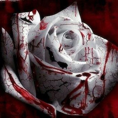 Fanfic / Fanfiction Bloody rose clan