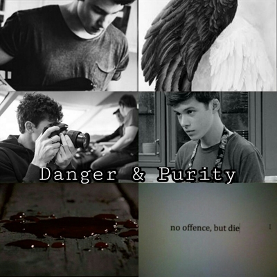 Fanfic / Fanfiction Danger and Purity