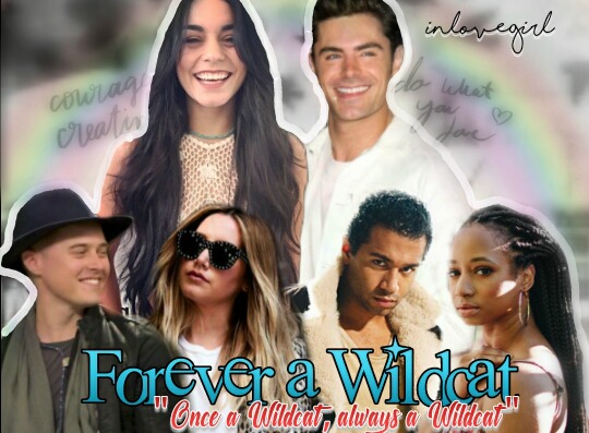 Fanfic / Fanfiction Forever a Wildcat