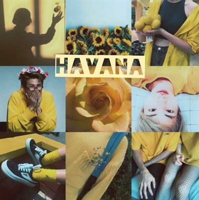 Fanfic / Fanfiction Havana • Namjin