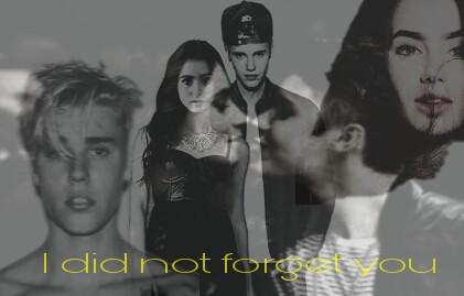 Fanfic / Fanfiction I did not forget you