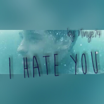 Fanfic / Fanfiction I hate you'