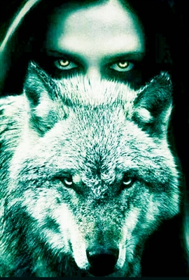 Fanfic / Fanfiction My fate wolf