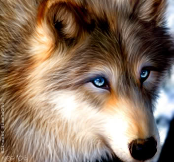Fanfic / Fanfiction My protective wolf (baixathentic)