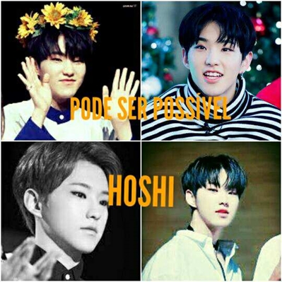 Fanfic / Fanfiction Pode ser possível (Seventeen Hoshi)