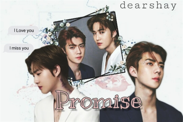 Fanfic / Fanfiction Promise - Imagine EXO Suho-Sehun