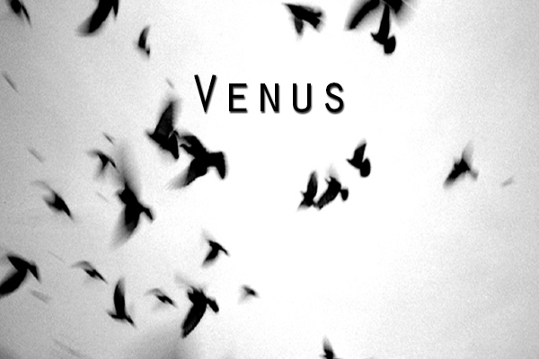 Fanfic / Fanfiction Venus