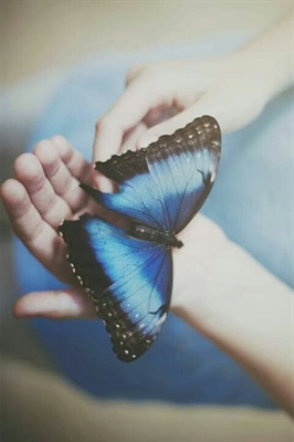 Fanfic / Fanfiction Butterfly Blue