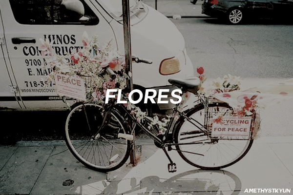 Fanfic / Fanfiction Flores.