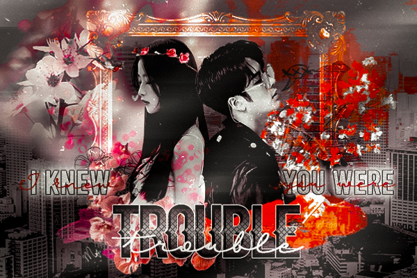 Fanfic / Fanfiction I Knew You Were Trouble