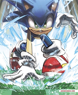 Fanfic / Fanfiction Sonic The Hedgehog - As Crônicas dos Lutadores da Liberdade