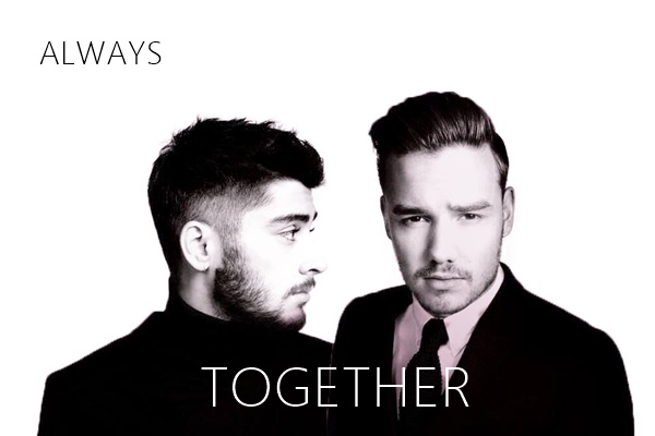 Fanfic / Fanfiction Together (ZIAM)