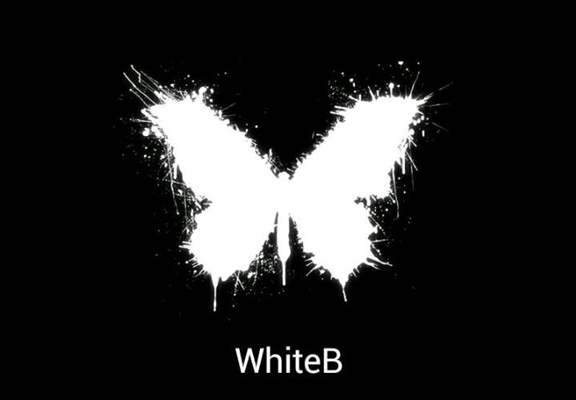 Fanfic / Fanfiction WhiteB