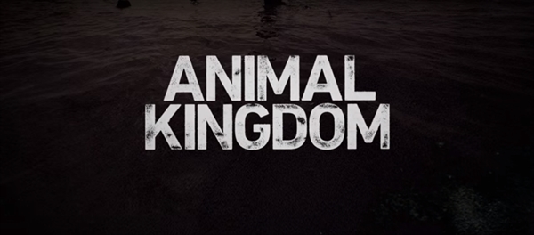 Fanfic / Fanfiction Animal Kingdom - INTERATIVA