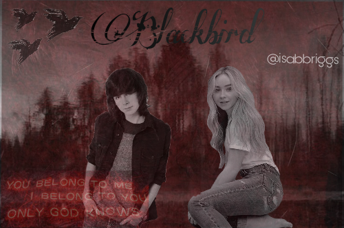 Fanfic / Fanfiction Blackbird