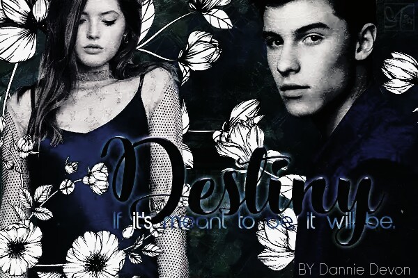 Fanfic / Fanfiction D E S T I N Y (Shawn Mendes) HIATUS