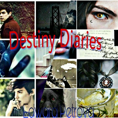 Fanfic / Fanfiction Destiny Diaries