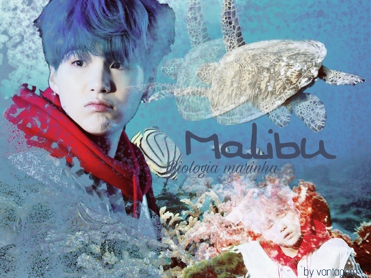 Fanfic / Fanfiction Malibu (Min Yoongi)