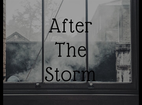 Fanfic / Fanfiction After The Storm