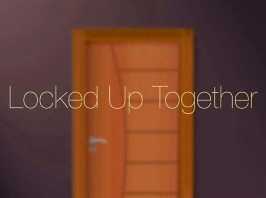 Fanfic / Fanfiction Locked Up Together