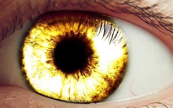 Fanfic / Fanfiction Olhos Dourados.