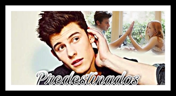 Fanfic / Fanfiction Predestinados - Fanfic Interativa Shawn Mendes