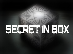 Fanfic / Fanfiction Secret In Box