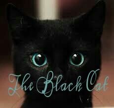 Fanfic / Fanfiction The Black Cat