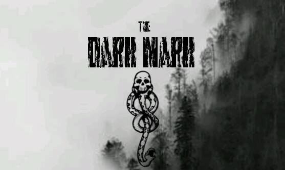 Fanfic / Fanfiction The Dark Mark - Drarry