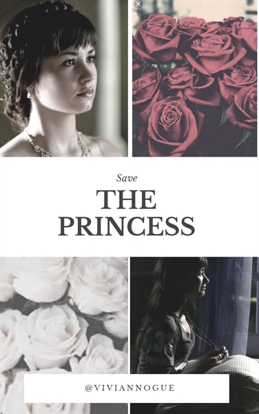 Fanfic / Fanfiction Save The Princess - Semi