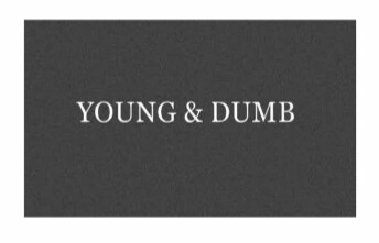 Fanfic / Fanfiction .young and dumb