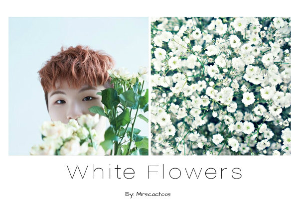 Fanfic / Fanfiction White Flowers