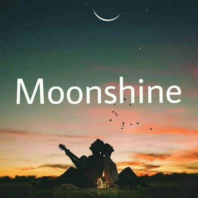 Fanfic / Fanfiction Moonshine