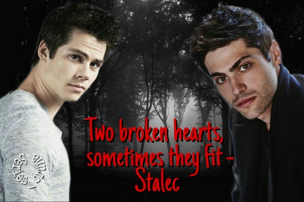 Fanfic / Fanfiction Two broken hearts, sometimes they fit - Stalec