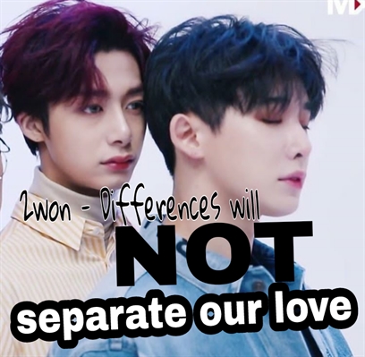 Fanfic / Fanfiction 2WON - Differences will not separate our love