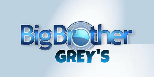 Fanfic / Fanfiction Big Brother Brasil - Grey's Anatomy