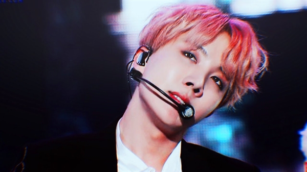 Fanfic / Fanfiction Me apaixonei por um idiota - Jung Hoseok