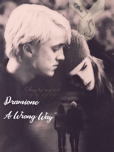 Fanfic / Fanfiction A Wrong Way -Dramione
