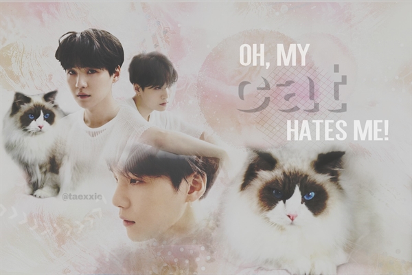 Fanfic / Fanfiction Oh, my cat hate me! - Min Yoongi