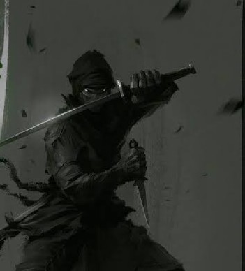 História Ninja Assassino - História escrita por RobsonX9 - Spirit Fanfics e  Histórias