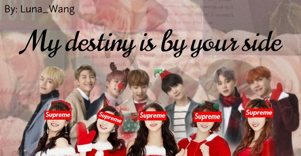 Fanfic / Fanfiction My destiny is by your side - Imagine BTS