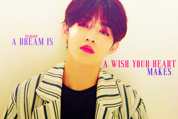 Fanfic / Fanfiction A dream is a wish your heart makes