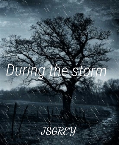 Fanfic / Fanfiction During the storm